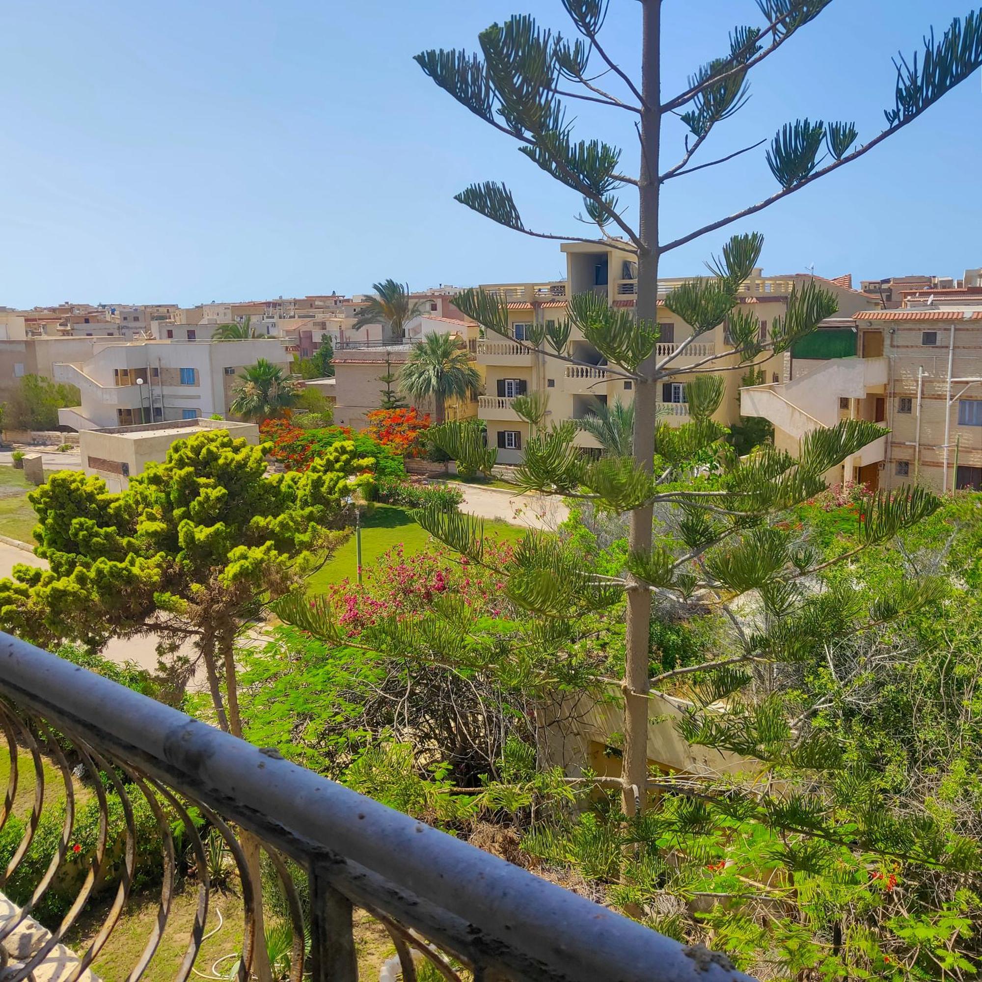 Chale De Loto - El Lotus North Coast Apartment El Alamein